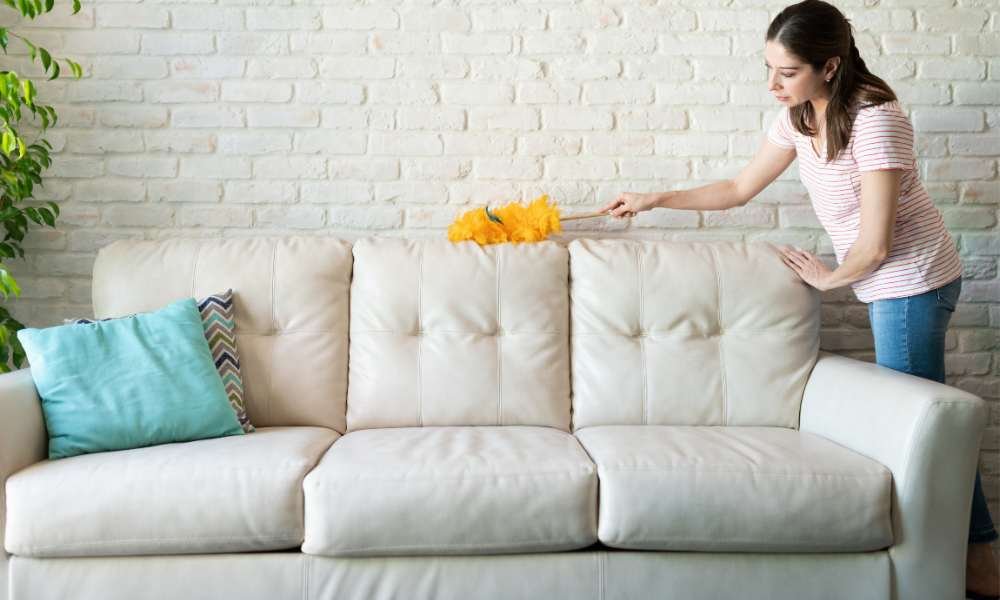 How to Clean Chenille Sofa